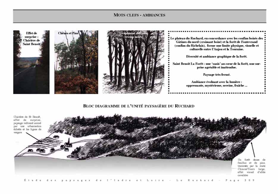 Ruchard_Pages199-213 de altas_37_Partie_3 271pages_Page_10