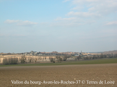 tDSCN8672