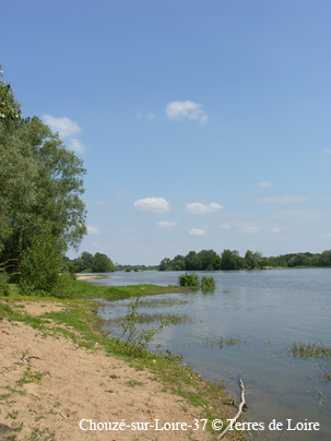 fvSH107551
