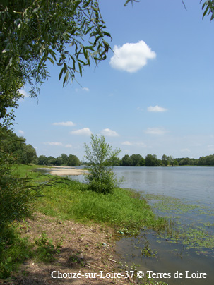 fwSH107545