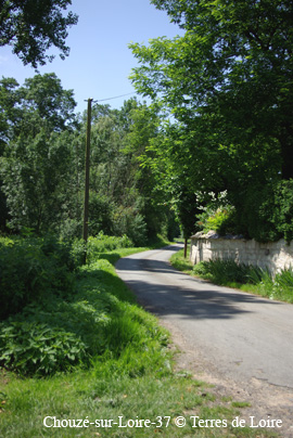 gaSG101244m