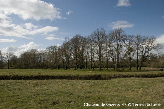 144-DSC_3621