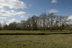 144-DSC_3621