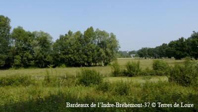 4c-0072-P1200355