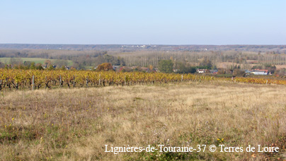 hbSH108357