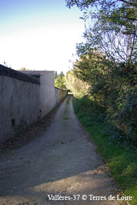 cwSG105749