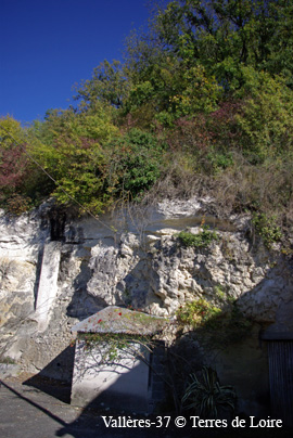 dfSG105765