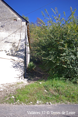 djSG105774