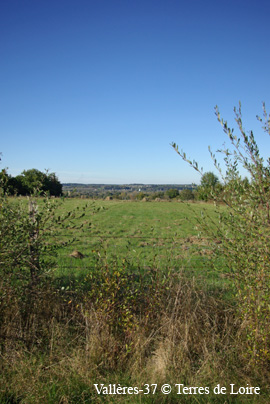 dySG105802