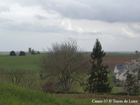 031-DSCN9706.JPG Tou#9535AF