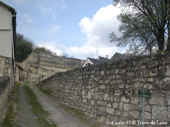 033-DSCN9899.JPG rue#9535B1