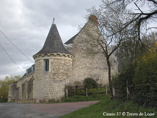 040-DSCN9696.JPG la #9535B8