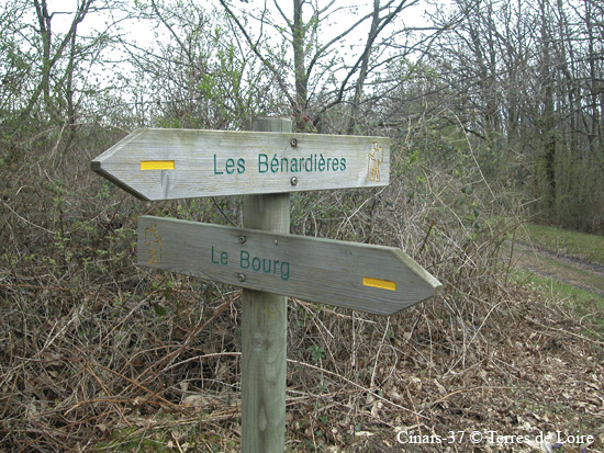 005-DSCN9681.JPG mar#9534A5