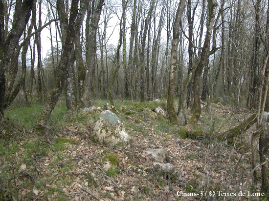 012-DSCN9728.JPGOpid#9534AE