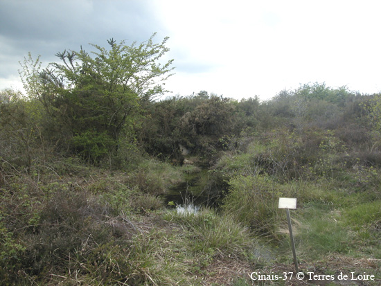 013-DSCN0443.JPG trou d'eau