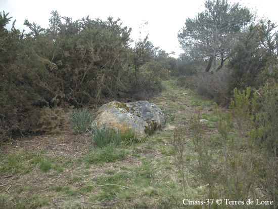 018-DSCN0452.JPG Pas#9534B4