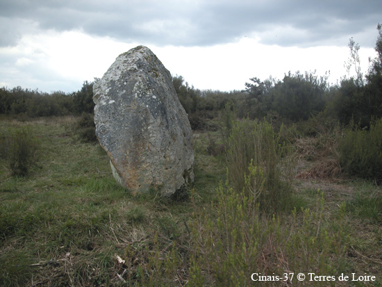 021-DSCN0468.JPG menhir