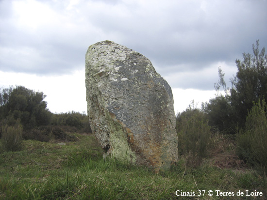 022-IMG_3844.JPG+ menhir
