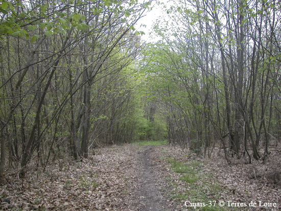 024-DSCN0474.JPG Cam#9534BB