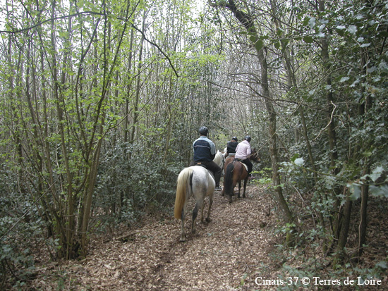 025-DSCN0479.JPG+Ran#9534BC