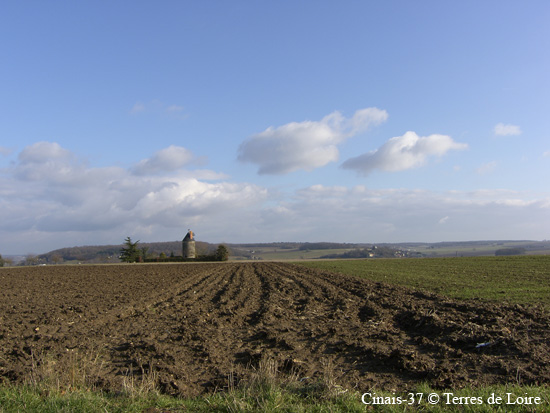 010-Copie de SH102117