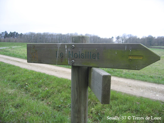 027-IMG_3650.JPG ver#95554D