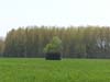 agSH102770