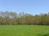 bmSH102703