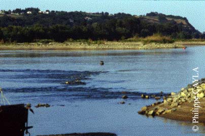 slide0002_image003