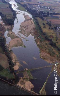 slide0011_image018