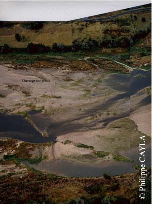 slide0013_image023