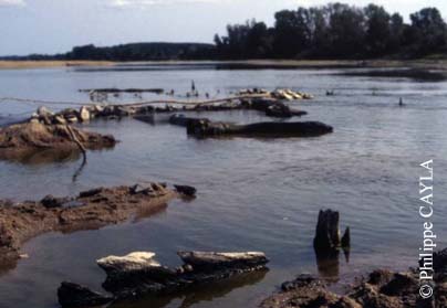 slide0036_image061