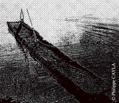 slide0005_image007