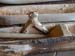 Slide0008