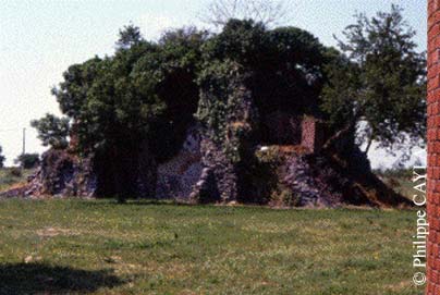 slide0010_image015