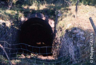 slide0011_image016