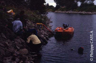 slide0002_image004