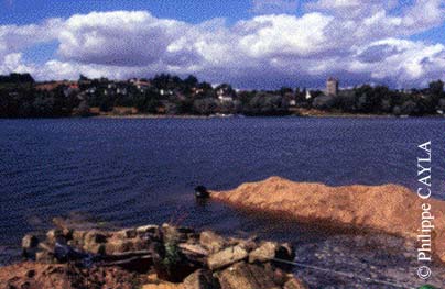 slide0020_image031