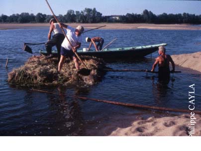 Slide0025