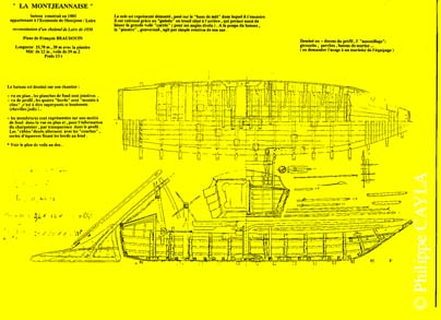slide0003_image003