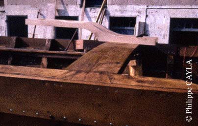 slide0005_image009