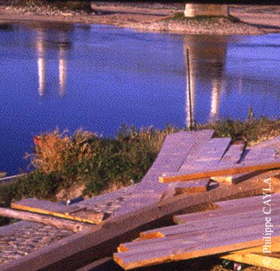 slide0008_image015