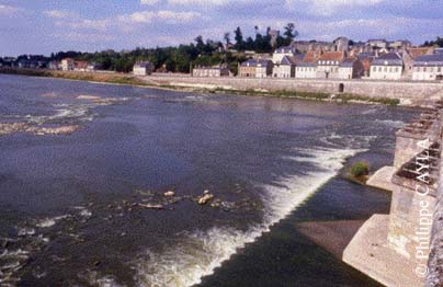 slide0016_image029