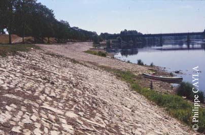 slide0017_image030