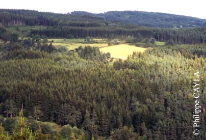 slide0033_image059