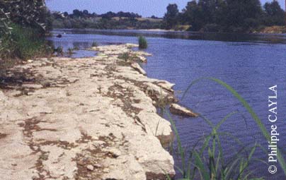 slide0040_image069