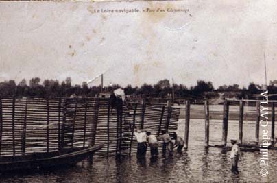 slide0042_image073