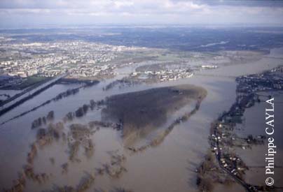 slide0013_image014