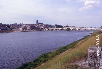 slide0019_image020