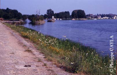slide0021_image022